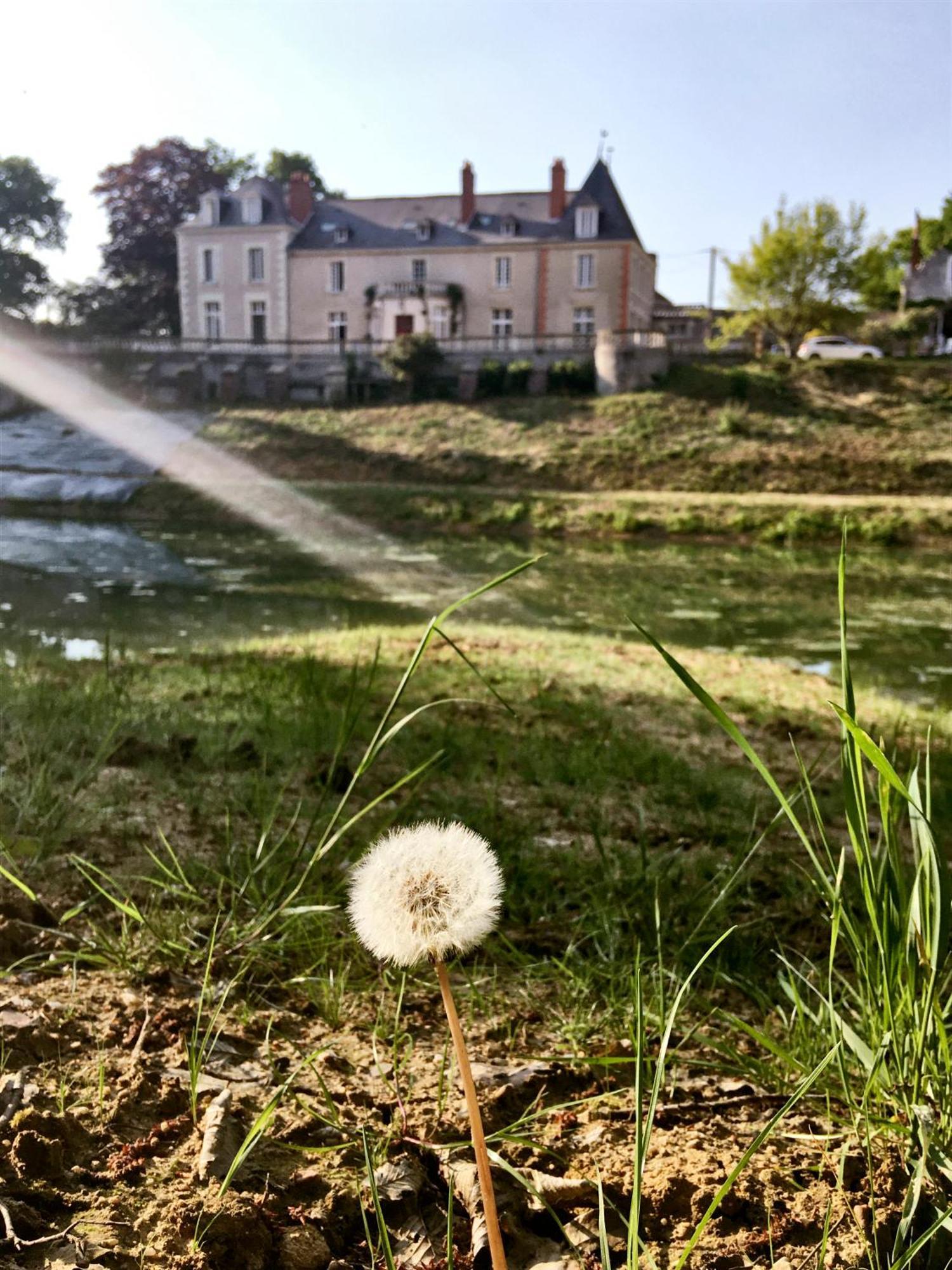 Chateau De La Huberdiere Nazelles-Negron 외부 사진