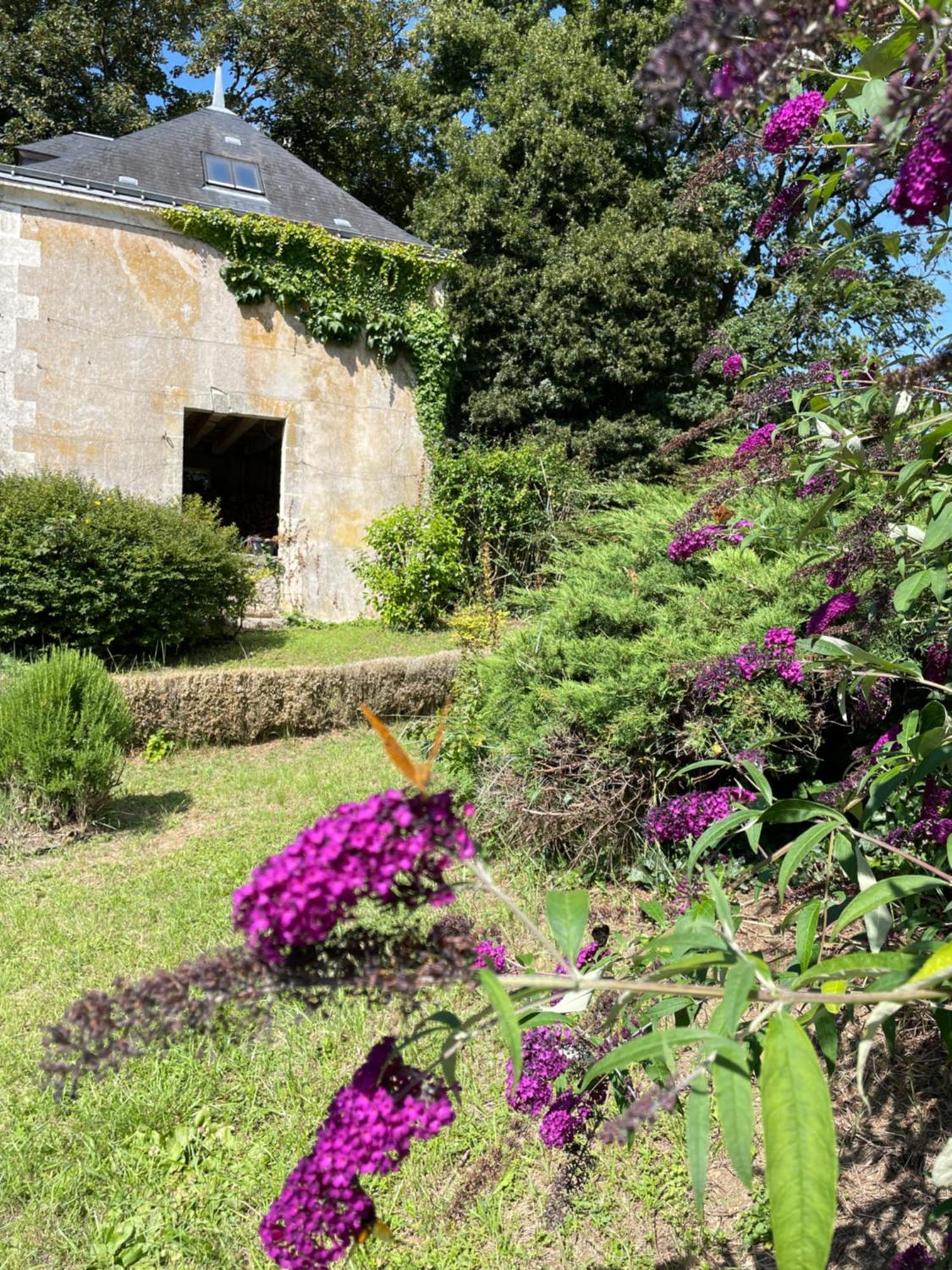 Chateau De La Huberdiere Nazelles-Negron 외부 사진
